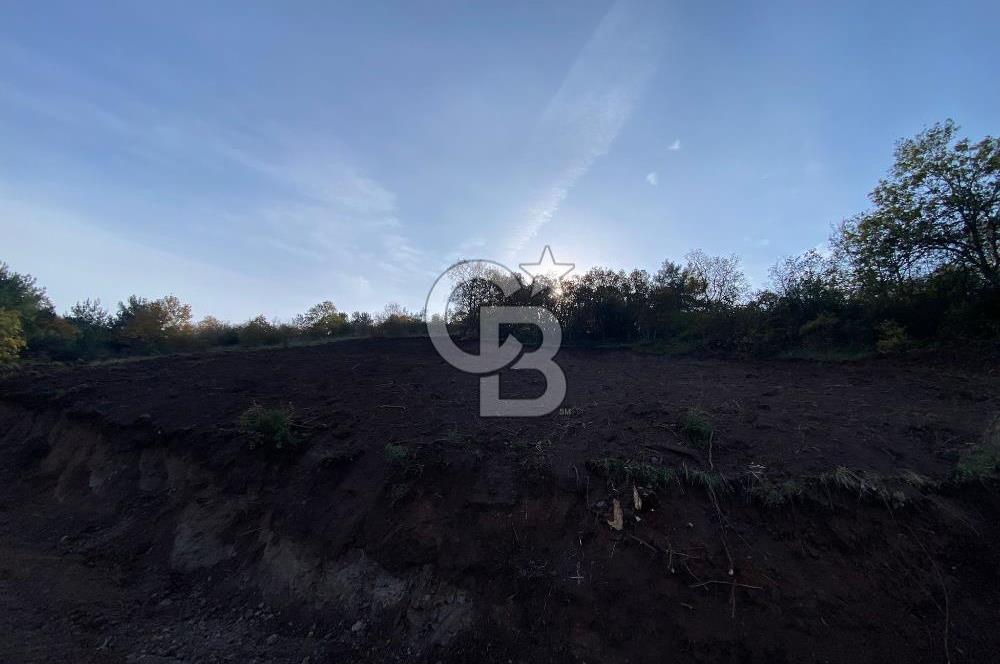 CB BLACK'TAN OSMANGAZİ SELÇUKGAZİ'DE SATILIK TARLA*