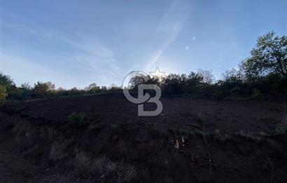 CB BLACK'TAN OSMANGAZİ SELÇUKGAZİ'DE SATILIK TARLA*