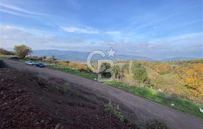 CB BLACK'TAN OSMANGAZİ SELÇUKGAZİ'DE SATILIK TARLA*