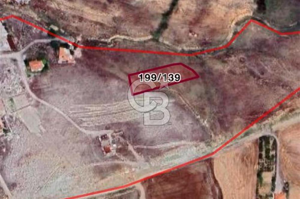 YOZGAT YERKÖY KARACAŞARDA 1800 M2 YOZGAT -ANKARA OTOYOLU YANINDA