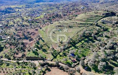 Orhanlı’da Elektrik-Su-Yolu olan Müstakil 11 Dönüm