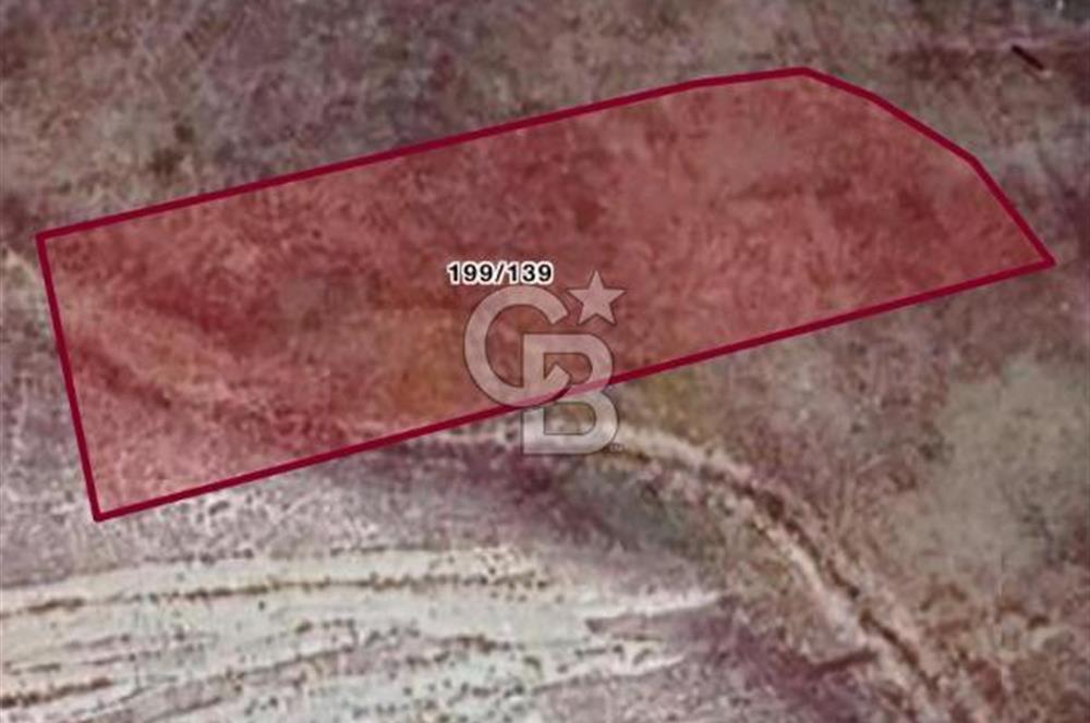 YOZGAT YERKÖY KARACAŞARDA 1800 M2 YOZGAT -ANKARA OTOYOLU YANINDA