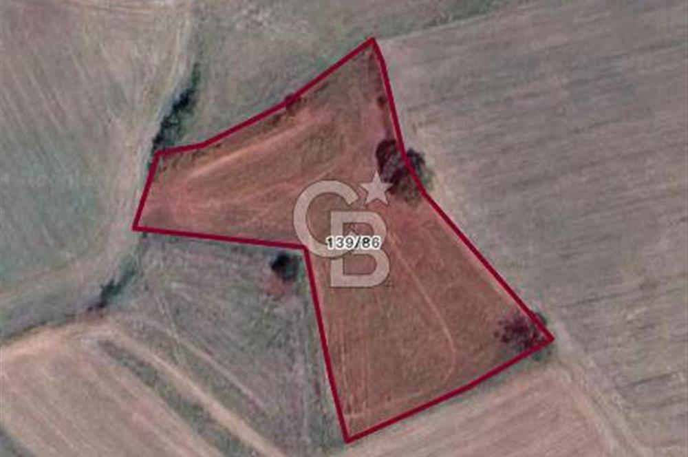 İZMİT YENİCE DE YATIRIMLIK SATILIK TARLA