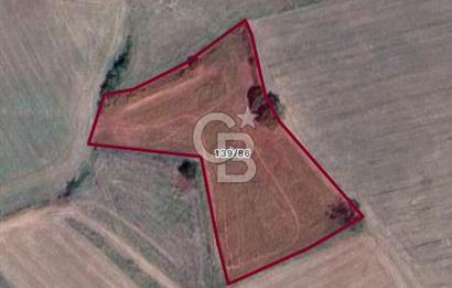 İZMİT YENİCE DE YATIRIMLIK SATILIK TARLA