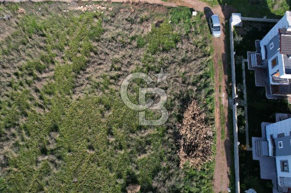 Dikilin Parlayan Bölgesi Salihler de 600 m2 İmarlı Arsa