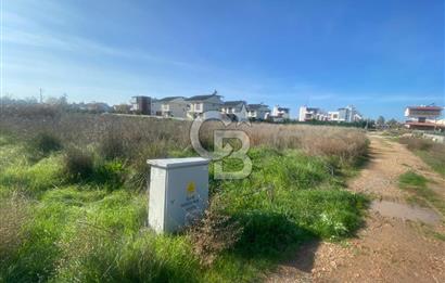 Dikilin Parlayan Bölgesi Salihler de 600 m2 İmarlı Arsa