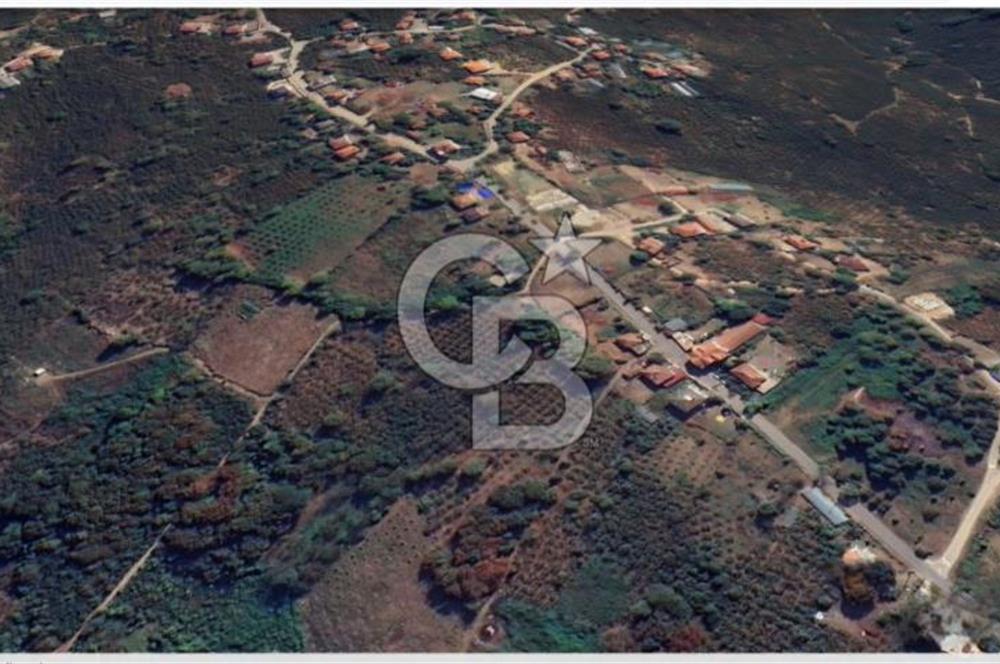 Düzce Akçakoca'da İmarlı Müstakil Tapulu Satılık Arsa