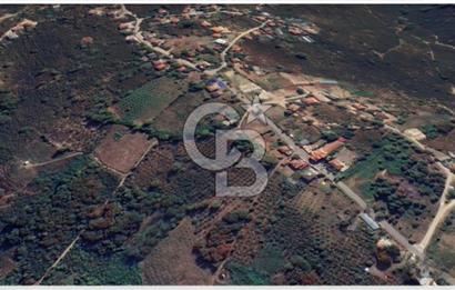 Düzce Akçakoca'da İmarlı Müstakil Tapulu Satılık Arsa