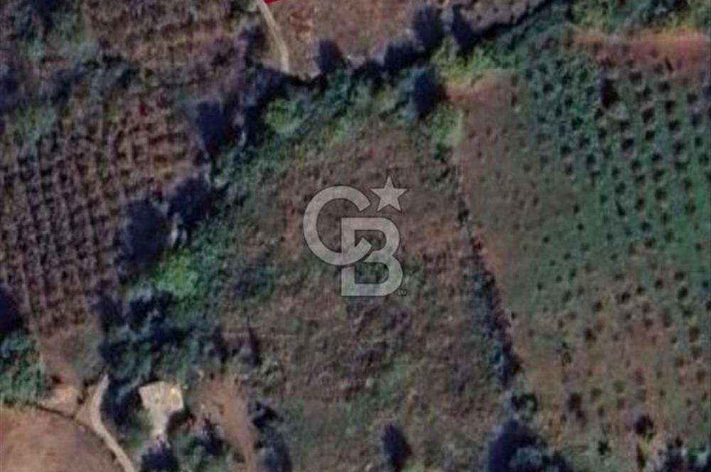 Düzce Akçakoca'da İmarlı Müstakil Tapulu Satılık Arsa