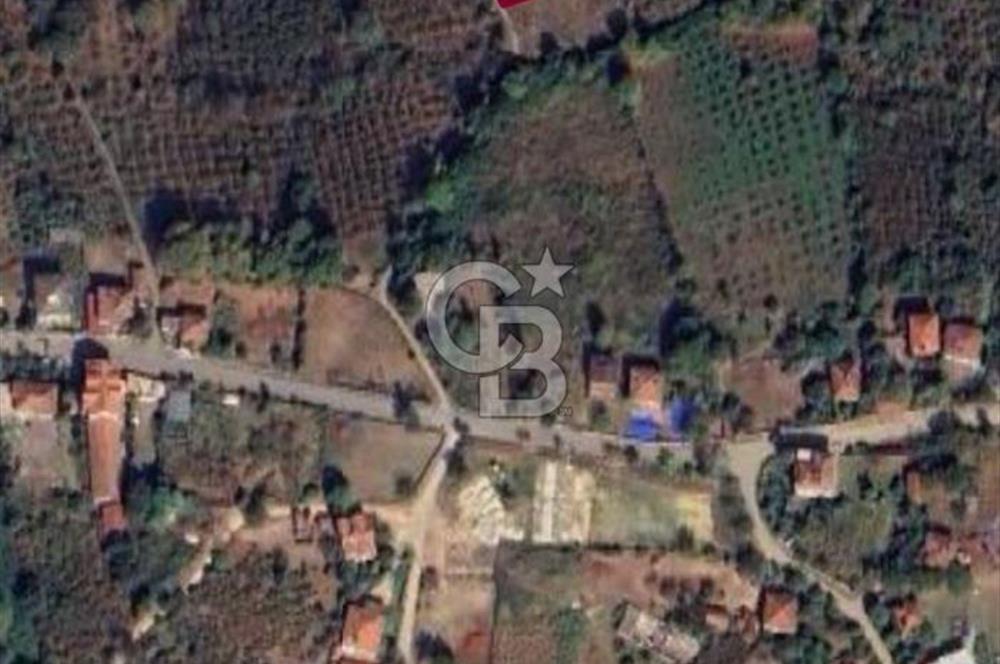 Düzce Akçakoca'da İmarlı Müstakil Tapulu Satılık Arsa