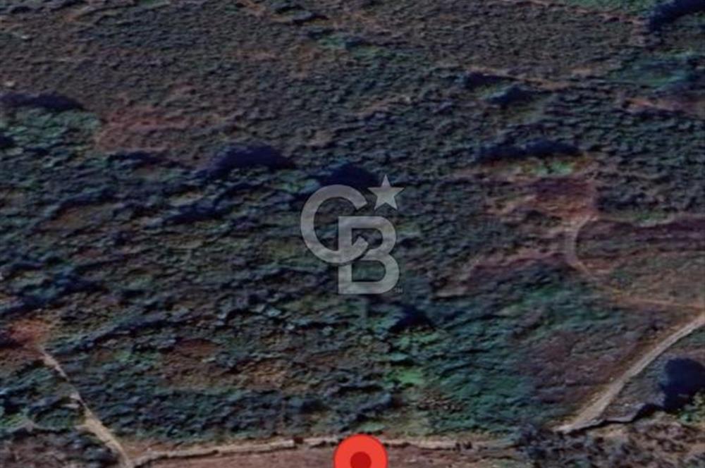 Düzce Akçakoca'da İmarlı Müstakil Tapulu Satılık Arsa