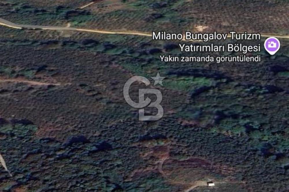 Düzce Akçakoca'da İmarlı Müstakil Tapulu Satılık Arsa