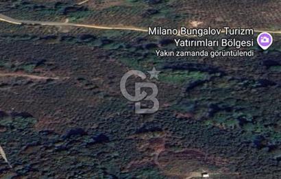 Düzce Akçakoca'da İmarlı Müstakil Tapulu Satılık Arsa