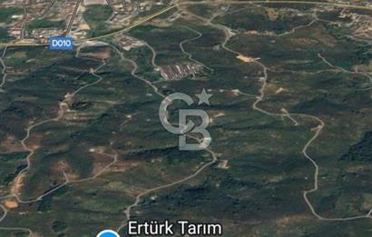 Düzce Akçakoca'da İmarlı Müstakil Tapulu Satılık Arsa