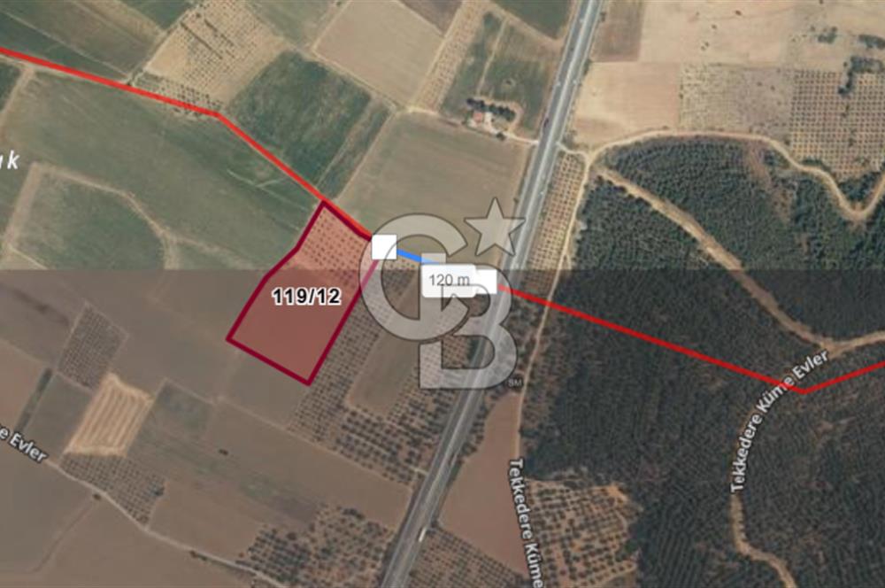 CB ODAK'TAN BERGAMA'DA ANA YOLA 120M 5.5 DÖNÜM TARLA!