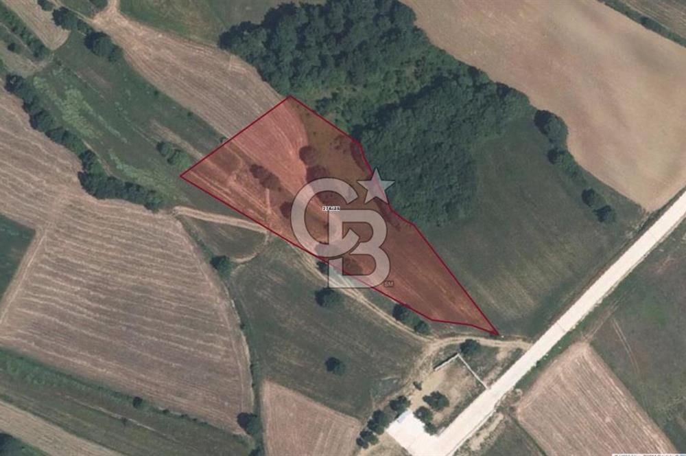 KOCAELİ DERİNCE GEREDELi KÖYÜ'NDE 5600 m2 FIRSAT ARAZi