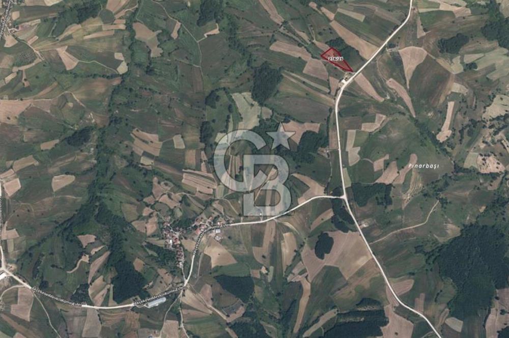 KOCAELİ DERİNCE GEREDELi KÖYÜ'NDE 5600 m2 FIRSAT ARAZi