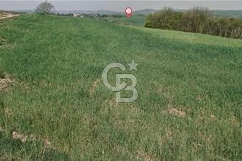 KOCAELİ DERİNCE GEREDELi KÖYÜ'NDE 5600 m2 FIRSAT ARAZi