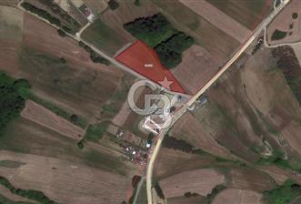 KOCAELİ DERİNCE GEREDELi KÖYÜ'NDE 5600 m2 FIRSAT ARAZi - 1 - 330200