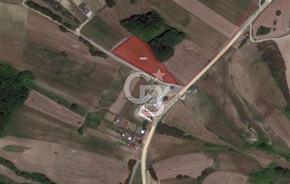 KOCAELİ DERİNCE GEREDELi KÖYÜ'NDE 5600 m2 FIRSAT ARAZi