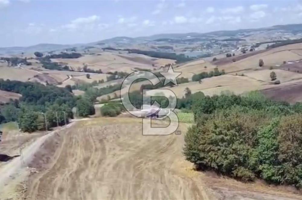 KOCAELİ DERİNCE GEREDELi KÖYÜ'NDE 5600 m2 FIRSAT ARAZi