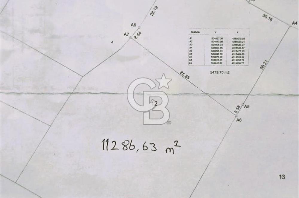 CB ODAK'TAN BERGAMA'DA ANA YOLA 120M 5.5 DÖNÜM TARLA!