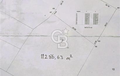 CB ODAK'TAN BERGAMA'DA ANA YOLA 120M 5.5 DÖNÜM TARLA!