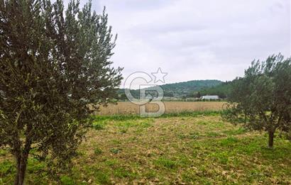 CB ODAK'TAN BERGAMA'DA ANA YOLA 120M 5.5 DÖNÜM TARLA!