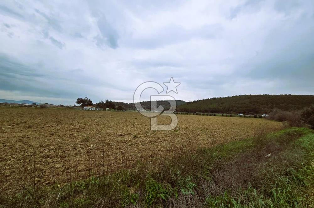 CB ODAK'TAN BERGAMA'DA ANA YOLA 120M 5.5 DÖNÜM TARLA!