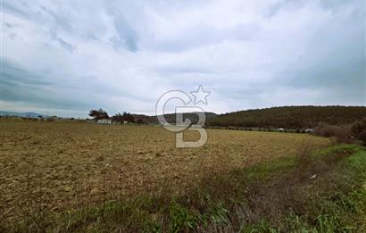 CB ODAK'TAN BERGAMA'DA ANA YOLA 120M 5.5 DÖNÜM TARLA!