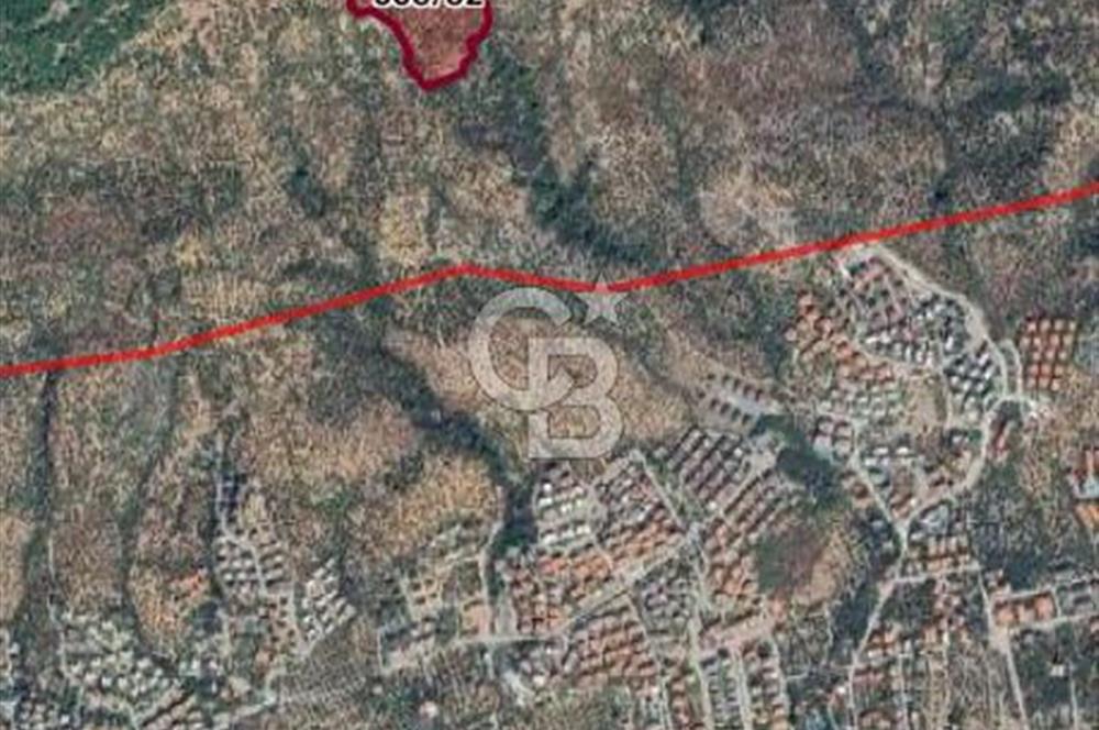 ADATEPE KÖYÜ EMSALSİZ 27 DÖNÜM ZEYTİNLİK