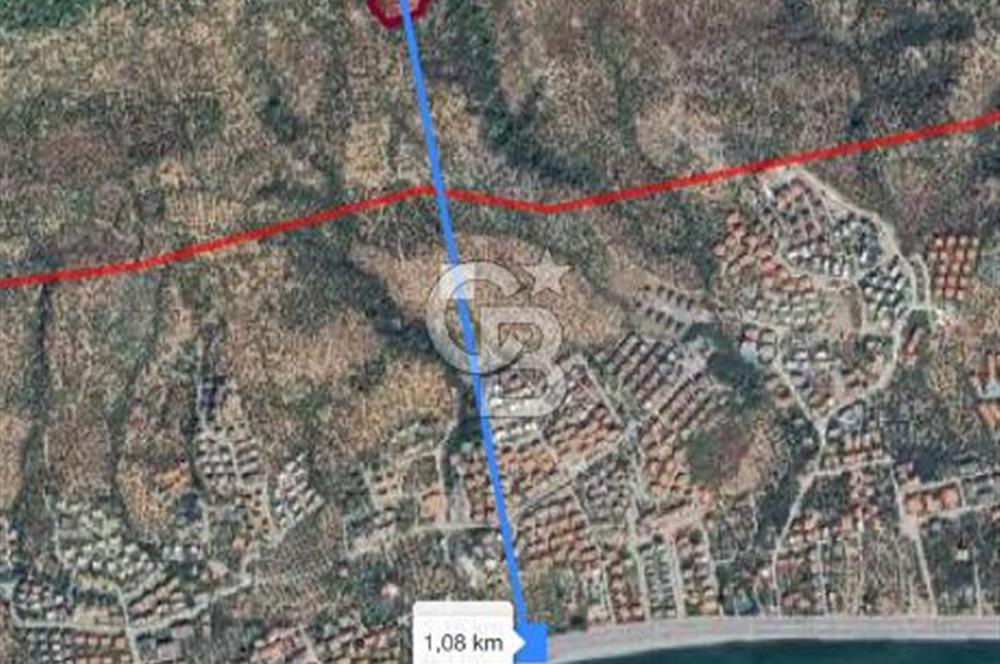 ADATEPE KÖYÜ EMSALSİZ 27 DÖNÜM ZEYTİNLİK