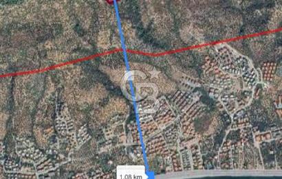 ADATEPE KÖYÜ EMSALSİZ 27 DÖNÜM ZEYTİNLİK