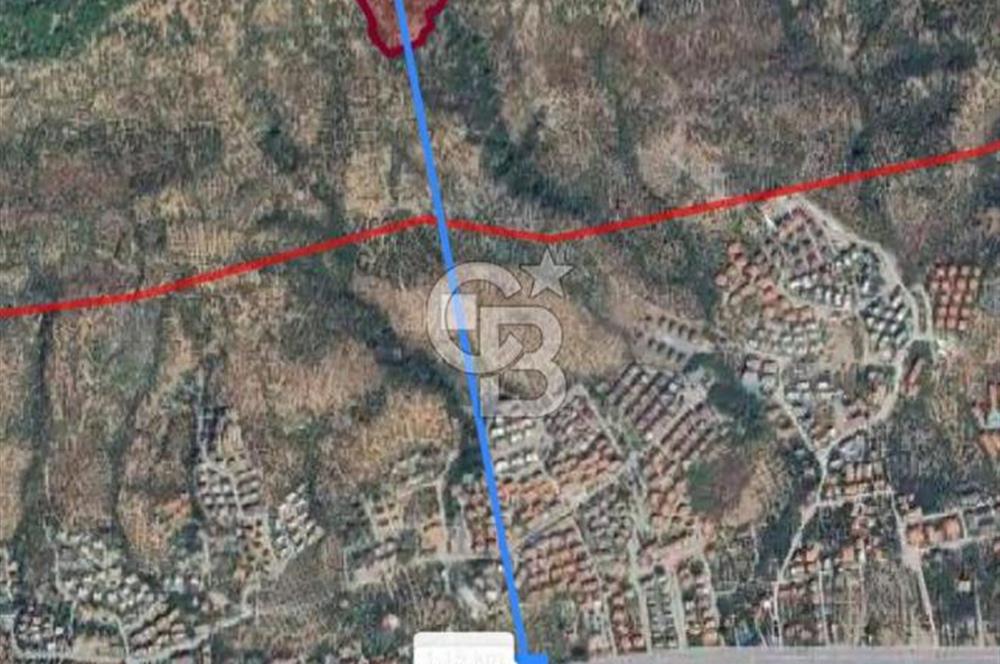 ADATEPE KÖYÜ EMSALSİZ 27 DÖNÜM ZEYTİNLİK