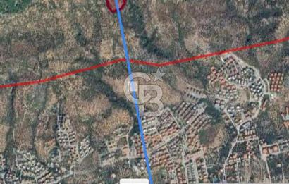 ADATEPE KÖYÜ EMSALSİZ 27 DÖNÜM ZEYTİNLİK