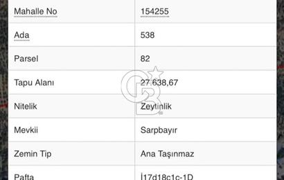 ADATEPE KÖYÜ EMSALSİZ 27 DÖNÜM ZEYTİNLİK