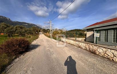 Torbalı Dağkızılca Köyünde Satılık 3069 m2 Tarla ve Taş Ev