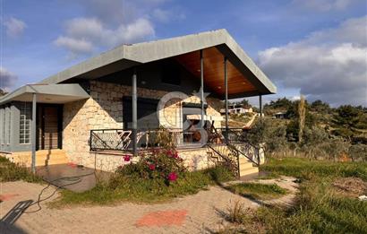 Torbalı Dağkızılca Köyünde Satılık 3069 m2 Tarla ve Taş Ev