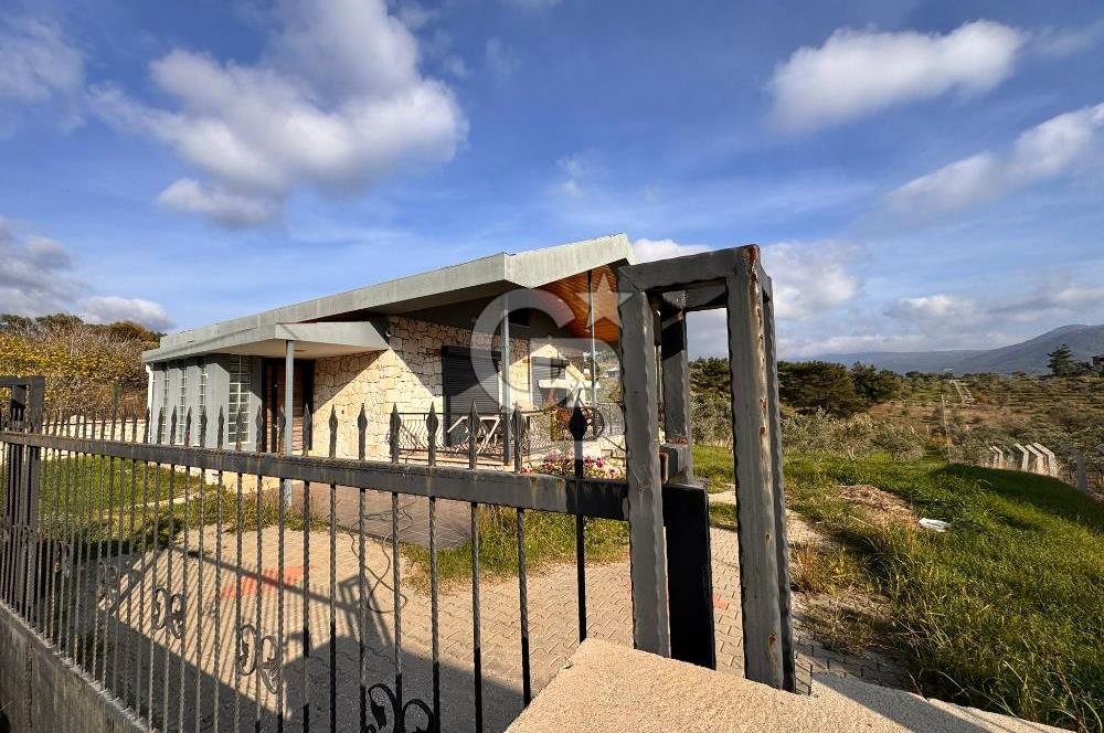 Torbalı Dağkızılca Köyünde Satılık 3069 m2 Tarla ve Taş Ev