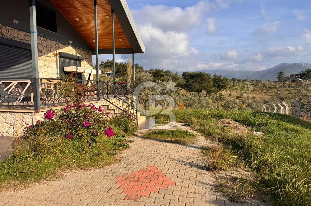 Torbalı Dağkızılca Köyünde Satılık 3069 m2 Tarla ve Taş Ev