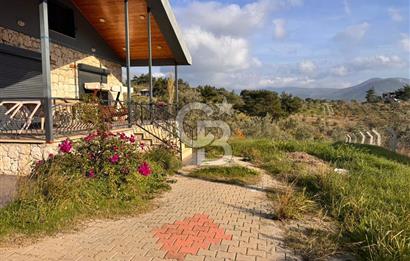 Torbalı Dağkızılca Köyünde Satılık 3069 m2 Tarla ve Taş Ev