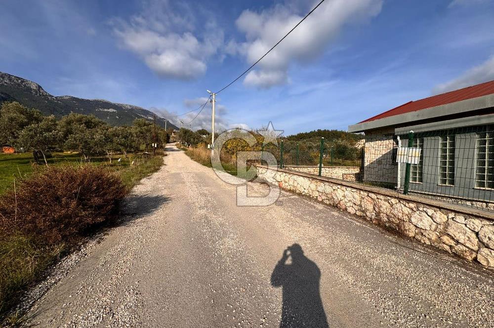 Torbalı Dağkızılca Köyünde Satılık 3069 m2 Tarla ve Taş Ev