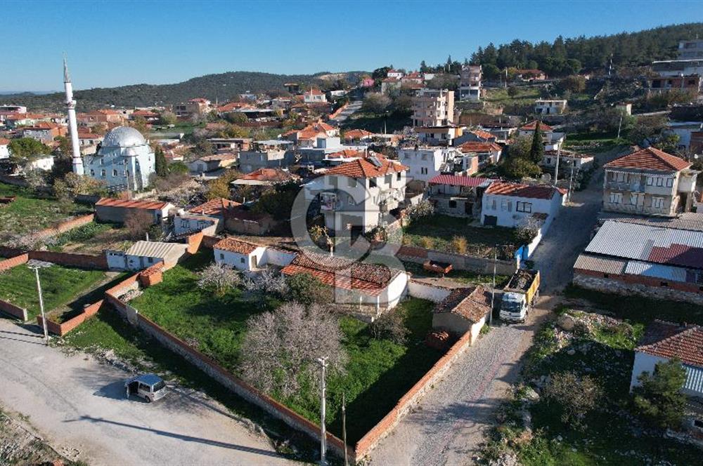 İzmir Bergama Zeytindağ da Satılık 2 Ev 1000 m2 Arsa Köy içinde