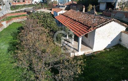 İzmir Bergama Zeytindağ da Satılık 2 Ev 1000 m2 Arsa Köy içinde
