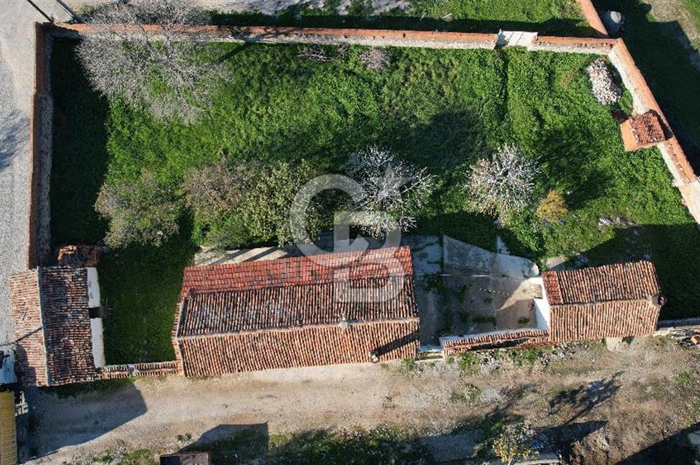 İzmir Bergama Zeytindağ da Satılık 2 Ev 1000 m2 Arsa Köy içinde