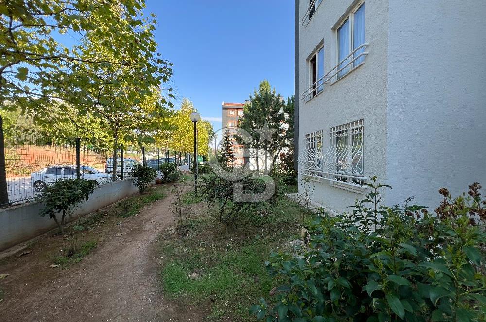 DERİNCE BARIŞKENT SİTESİNDE 3+1 GENİŞ KİRALIK DAİRE