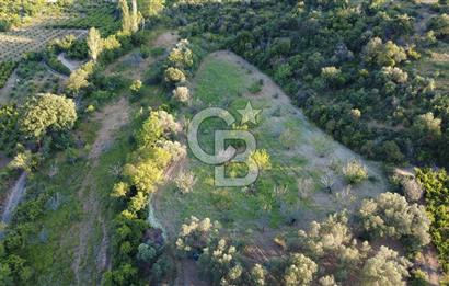 Çanakkale Lapseki’de Yola Cepheli, Meyve Ağaçlı Yatırımlık Tarla