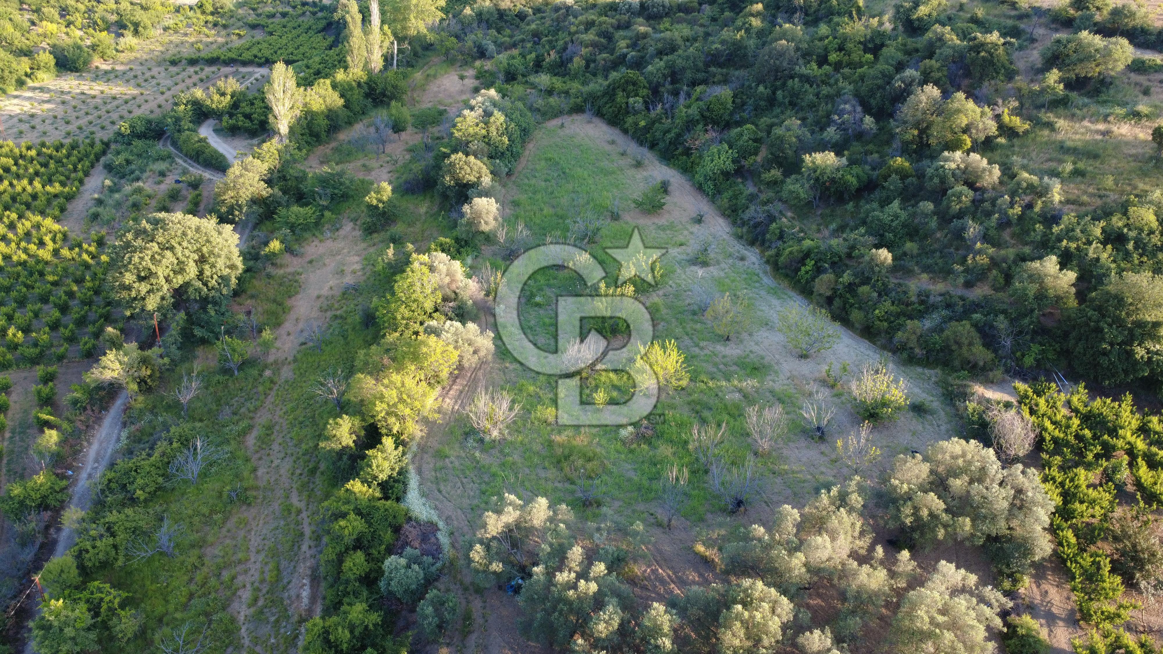 Çanakkale Lapseki’de Yola Cepheli, Meyve Ağaçlı Yatırımlık Tarla