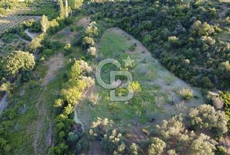 Çanakkale Lapseki’de Yola Cepheli, Meyve Ağaçlı Yatırımlık Tarla - 3 - 330330