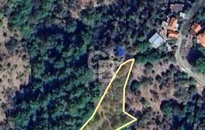 ÇANAKKALE AYVACIK KÜÇÜKKUYU'DA 2.376 m2 YOLA YAKIN ZEYTİNLİK